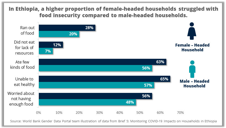 Gendered impacts of Ethiopia household survey